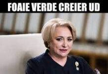 Mici observații, adnotări pe genunchi, referitoare la starea națiunii