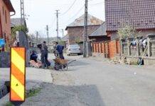 La Călinești, canalizare în curs, proiect pentru o alta la Văleni