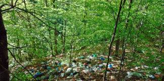 Intrarea în Cluj dinspre Maramureș, dezastruoasă (video)