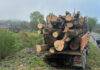 Material lemnos confiscat și autoutilitară indisponibilizată