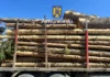 Transport ilegal de material lemnos, depistat de polițiști la Botiza