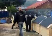 Polițiștii locali și-au ”serbat” ziua la adăpostul public de câini