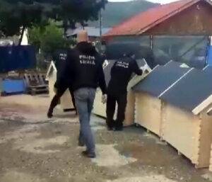 politie caini
