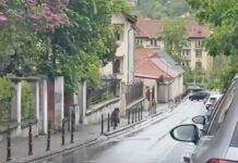 „La noi, minciuna, adulterul, uneltirea mișelească sunt niște nimicuri pline de haz de care râd toți cu multă poftă”- Ion Luca Caragiale