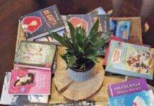 Titluri noi în biblioteca Centrului Cultural START din Târgu Lăpuș