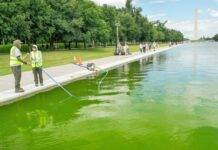 Alba neagra cu viețile noastre