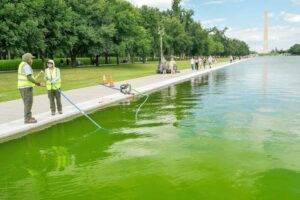 green-pool-lincoln-memorial