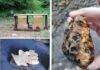 Surprize minerale în Maramureș • Granate. Jasp. Aurul nebunilor. Diamante de Maramureș… (video)