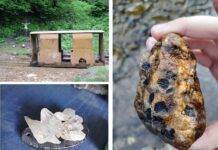 Surprize minerale în Maramureș • Granate. Jasp. Aurul nebunilor. Diamante de Maramureș…