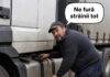 Miorița, Fefeleaga și PăsăriLățiLungilă făceau ordine-n țară
