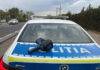 Prins cu 130 km/h și cu numere false de înmatriculare, pe un bulevard din Baia Mare