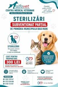 sterilizari-baia-mare