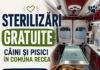 Încep sterilizările în Maramureș cu Ambulanța Veterinară