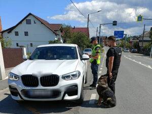 trafic