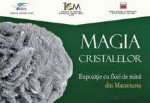 Magia cristalelor de la Mineralogie ajunge la Tulcea