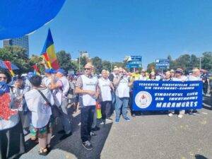 Protest-SLIMM-