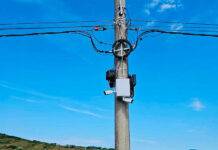 ”Big Brother” surprinde ”tot ce mișcă” în Rona de Jos