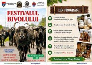 festivalul-bivolilor-suciu.jpg