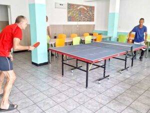 ping-pong-azil