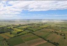 Autorităţile de mediu sunt din nou în alertă din cauza prafului de pe Iazul Bozânta