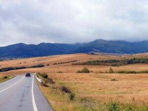 savana 2