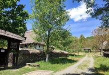 A treia zi a Festivalului „Repere, Mituri, Identităţi”