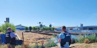 Amenzi de 635.000 lei date de Garda de Mediu Maramureș în Ardusat