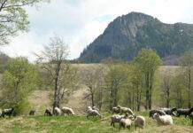 O singură destinație ecoturistică în Maramureș. Și aceea expiră