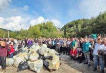 Maramureșul, pe primul loc la mobilizarea voluntarilor pentru ecologizare