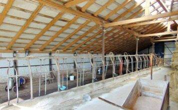 Protecția apelor împotriva poluării cu nitrați proveniți din surse agricole