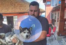 Campanie de sterilizări la Coaș