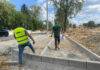 Strada Victoriei va înverzi – sute de arbori noi vor fi plantați aici