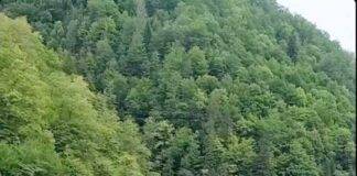 Se conturează două zone turistice noi în Vișeu de Sus