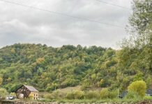 Zid de sprijin în zona „Zăvoiul cel Mare” din Berbești, pentru siguranța zonei