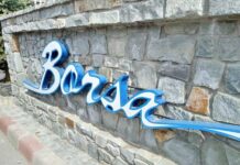 Lucrări de întreținere în Borșa