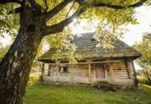 Documentaţie finalizată pentru restaurarea casei memoriale Vasile Kazar