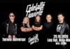 Turneu aniversar Celelalte Cuvinte