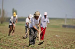 Controale-agricultura