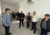 Porcii mistreți provoacă pagube mari în Boiu Mare
