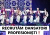 Ansamblul Transilvania recrutează dansatori profesioniști