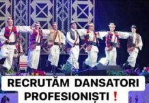 Ansamblul Transilvania recrutează dansatori profesioniști