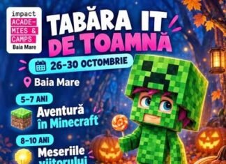 Tabără IT de toamnă