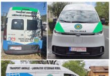 Primăria Baia Mare are ambulanță veterinară