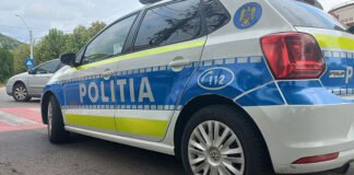 Amenzi de peste 5.500 de lei, în urma unor controale la Seini și Tăuții-Măgherăuș