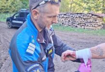 Atacat de un câine în timp ce culegea ciuperci, în zona Valea Albă