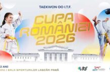Baia Mare găzduiește Cupa României la Taekwon-do ITF pentru copii