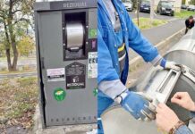 Eco-insule vandalizate în Baia Mare