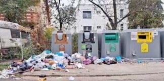 Problema gunoaielor din jurul eco-insulelor semnalată de ADI Deșeuri Maramureș