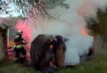 Incendiu între Rohia și Boiereni, observat de jandarmi în zorii zilei