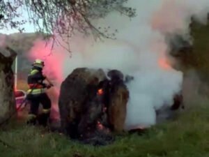 incendiu rohia